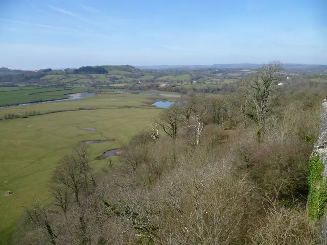 Strategies for Implementing Permaculture for Localized Climate Control