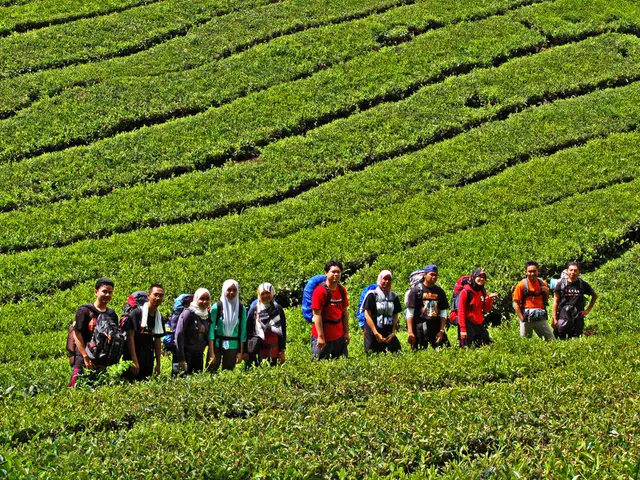 Upcoming July 29 event, NKY History Hour, delves into historical migration patterns across Boone,...