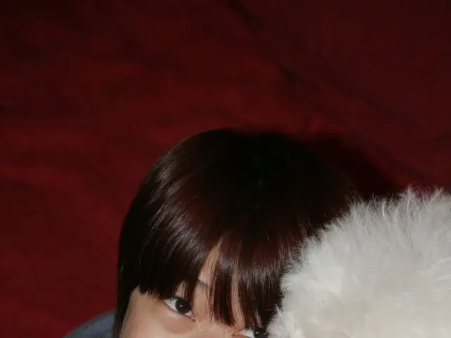 Strategies for handling the grief of losing a beloved pet, based on insights from a professional...