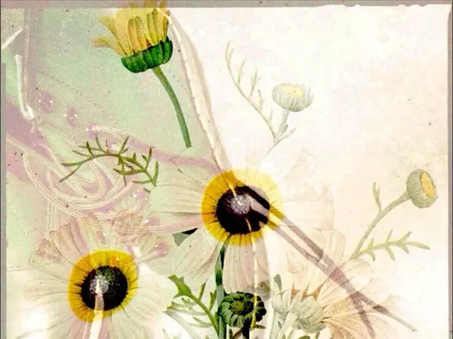 Hidden Gem Hoka Style Stands Out as the Top Pick for Walking Excursions