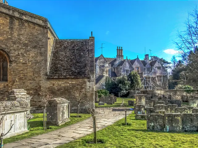 Strategies to Foster a Blooming Community Garden