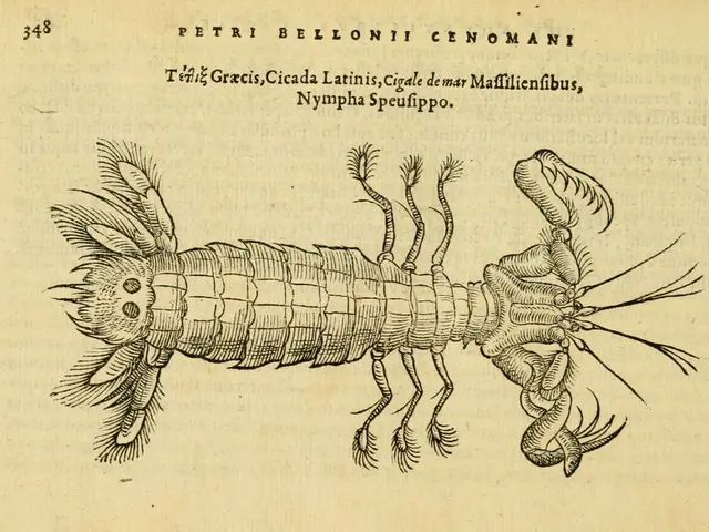 The fourteenth edition of the online publication, "No Bees, No Life" magazine, has been released