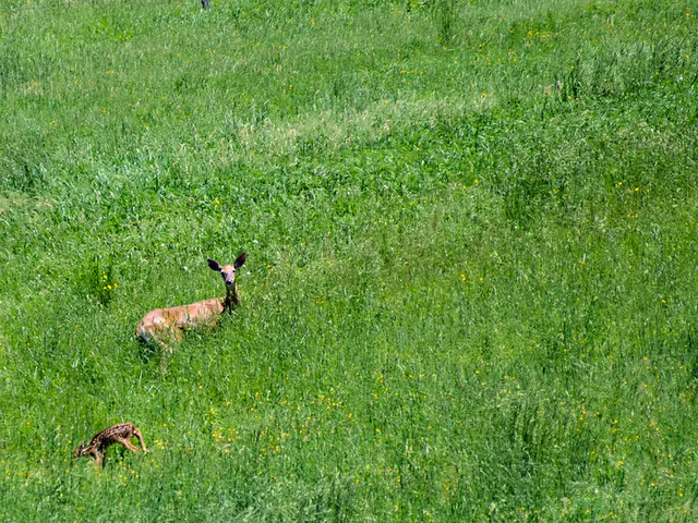 Unveiled: New 'Green Jobs' Initiative for Employment Opportunities