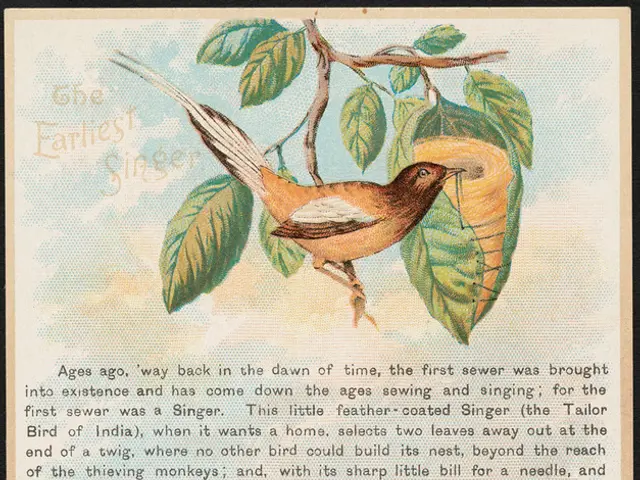 Artistic Embroidery on Seashore Themes by Deborah Campbell: Birds