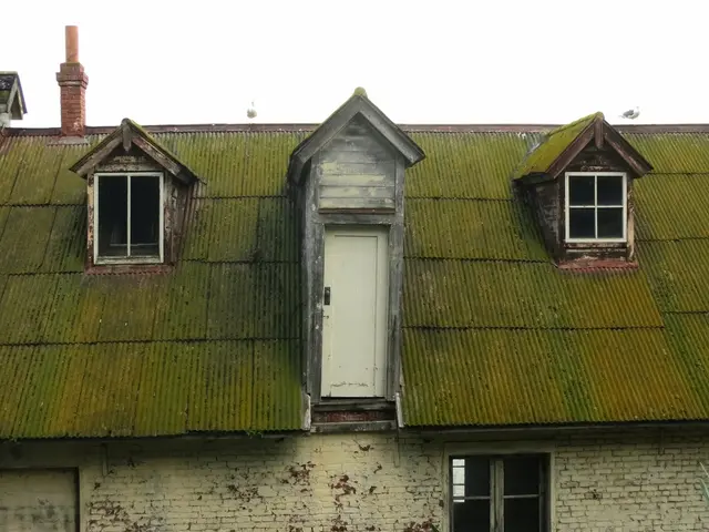 Hormann Under Scrutiny: Controversial Figures in the Limelight