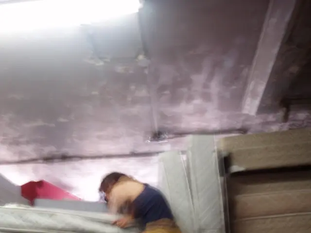 Dreamy Douglas Mattress Evaluation: Unmissable for Stress-Free Slumber