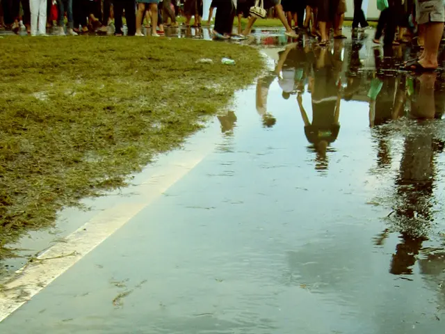 Cost-Effective Lawn Maintenance Strategies for Stunning Greenery: Saving You a Fortune in the...