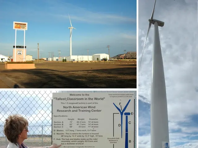 Streamlining daily tasks, minimizing digital usage, and simplifying living spaces when faced with...