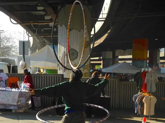 Giant Canvas Transformation: Koblenz Bridge Turns into a Vast Artwork