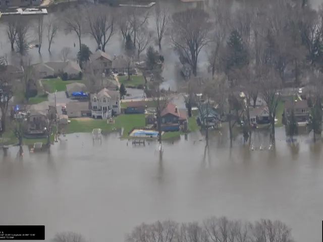 New York's innovative elevated park showcases plant arrangements by leading horticulturists,...