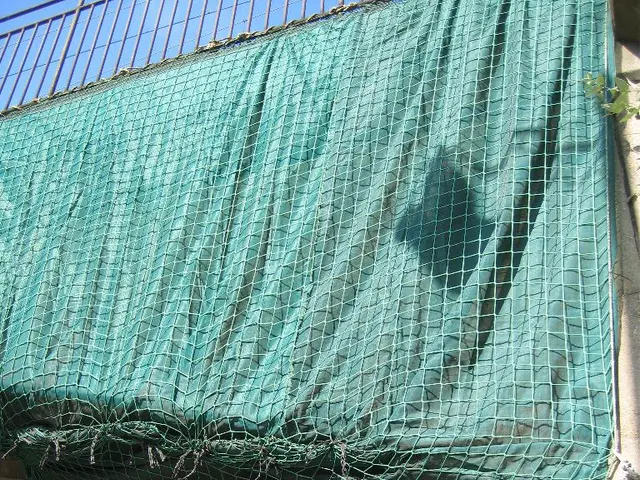 Advantages of Erecting a Timber Barrier on Your Landscape