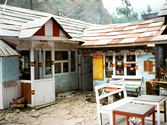 Young members of the Zuchering Garden Association's children's group tend to the fruit orchards
