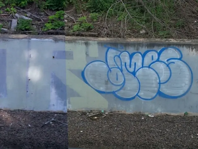 Creating a Livening Preserved Moss Wall (Easy 8-Step Guide)