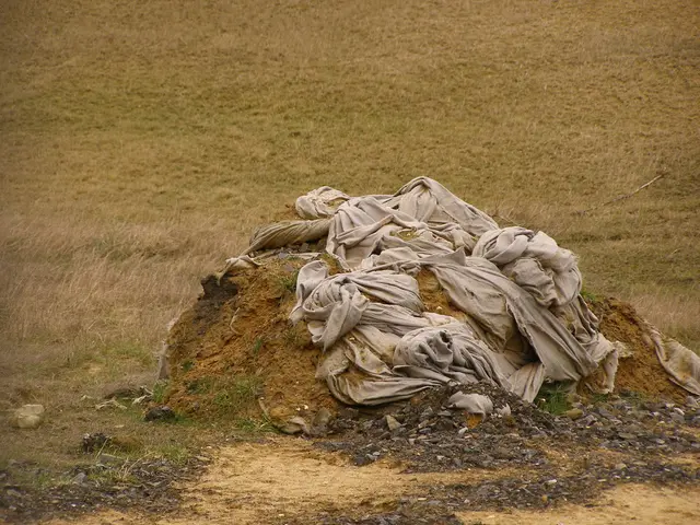 Strategies to Enhance Yard Drainage: Discover 8 Methods to Shield Your Garden from Flooding