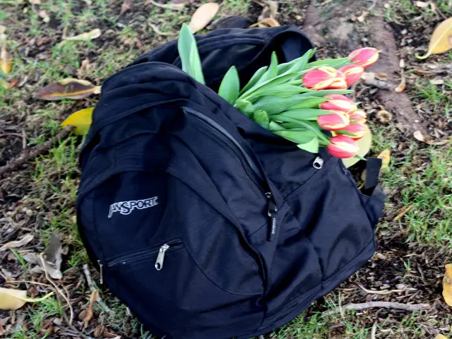 Growing Plants with Fabric Grow Bags: Advantages over Traditional Planters