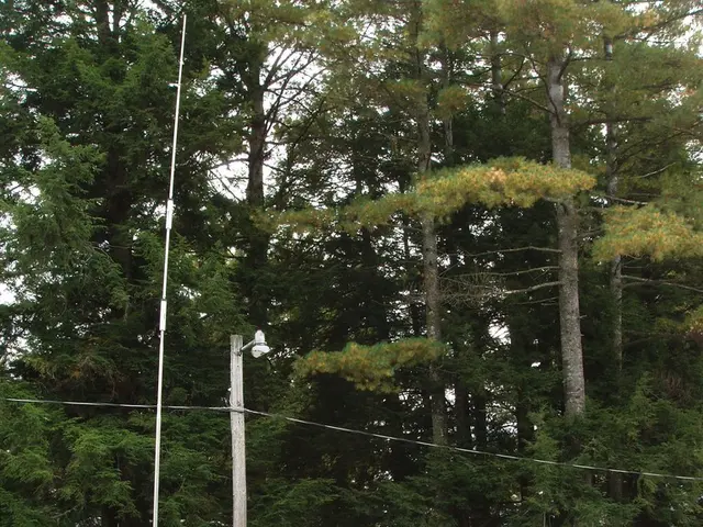 Salop Leisure Recognized as Top Pre-owned Caravan Supplier at the Owner Satisfaction Awards 2025