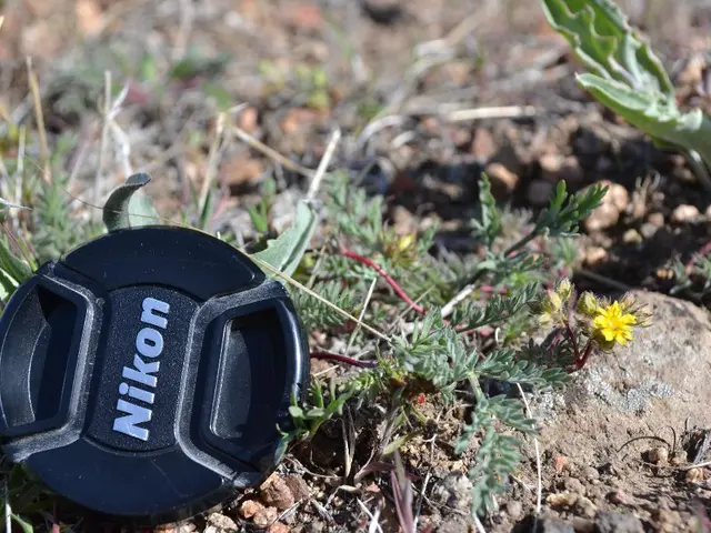 Supporting Earth's Environment: Home Lawns