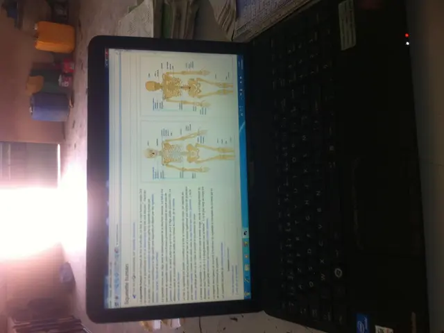 Asus Launches Its Elite Zenbooks During Milan Design Week