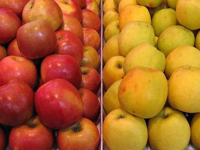 Storing Apples: A Comprehensive Guide