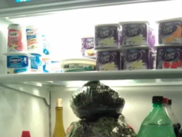 Preparing Garden Seeds for the Next Season: Key Information You Should Be Aware Of