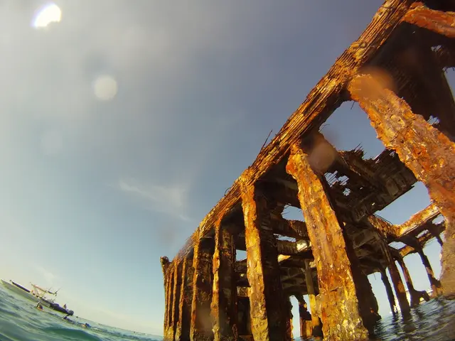 Direct transit from the vessel to the urban center