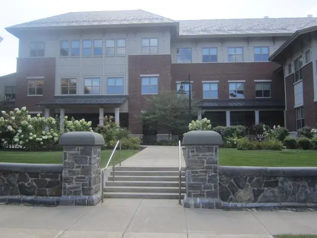 Eight Errors in Designing a Shed Room that Could Significantly Reduce Comfort and Usability,...