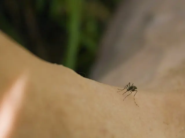 Affordable Mosquito Repellent Bracelets Proven Effective by Reviewers, According to Latest Findings