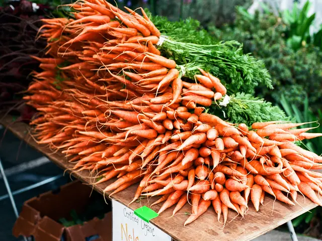 Harvest a succulent carrot by immersing it in August.