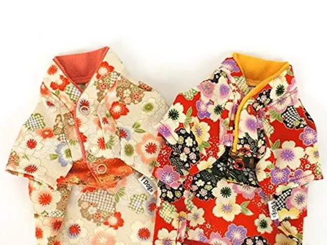 Springtime Styles: 28 Stunning Dresses from Amazon for Easy Springtime Wardrobe Solutions