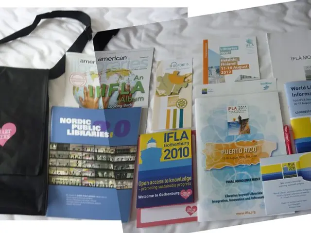 Everyday Joe: A Layman's Perspective