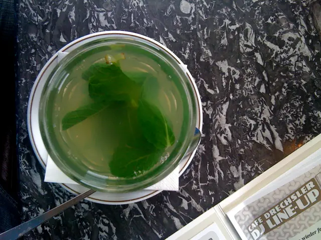 Table Top Mint Farming with Gardenuity's Merry Mint Kit