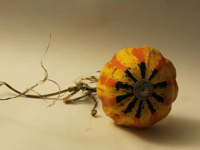 Floating Pumpkin Patch Arrives in Dublin, Set to Offer Unique Creative Experience