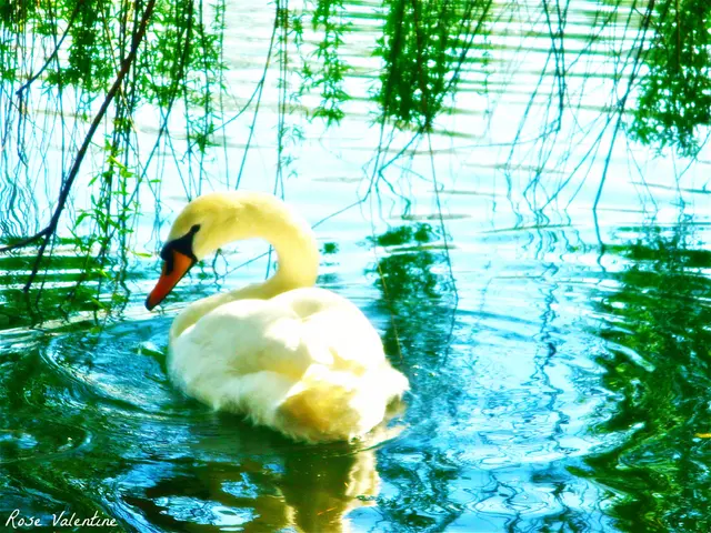 Charity organization, The Green Goose, contributes € 3,601 to the Children's Hospice