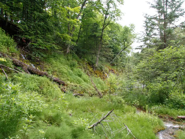 Conservation Day 2025 Focuses on Uttarakhand's Rajaji Raghati Biosphere: Highlighting Nature...