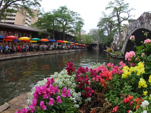 EDEKA's latest establishment in Salzgitter-Lebenstedt has commenced operations