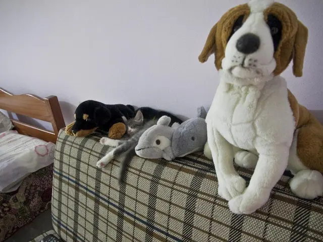 Exquisite design embodied in the 'Riley' sofa, showcasing its masculine charm