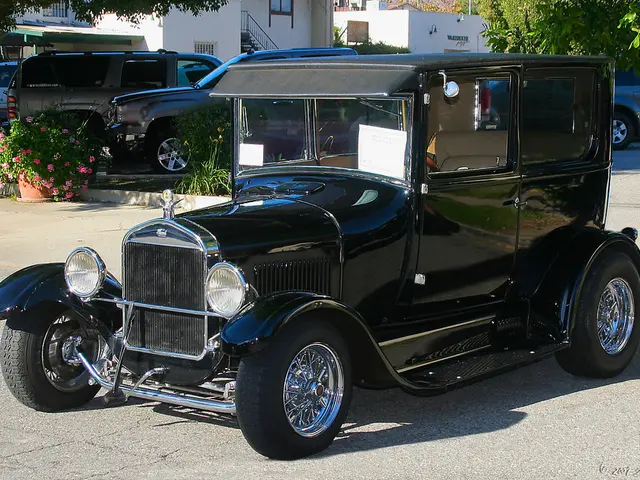 Husband's prohibition on Arabella Kiesbauer purchasing antiques from him