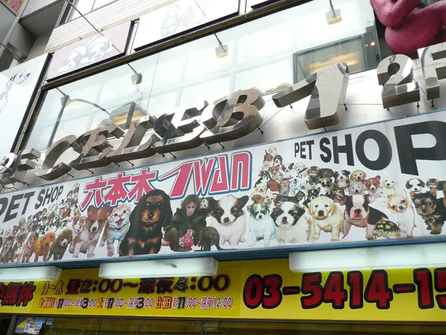 Activities without cost: Discover 5 gratis options for entertainment in Linz right now