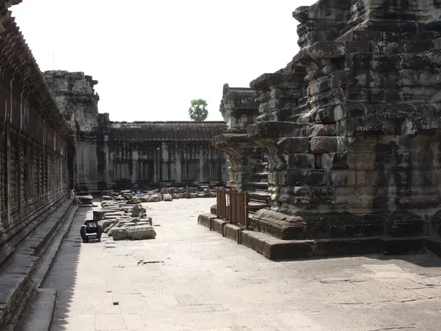 Wood Could Possibly Outmatch Steel With Chemically Altered 'Superwood'