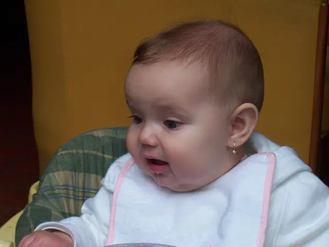 Guiding You in Choosing the Ideal Infant High Chair