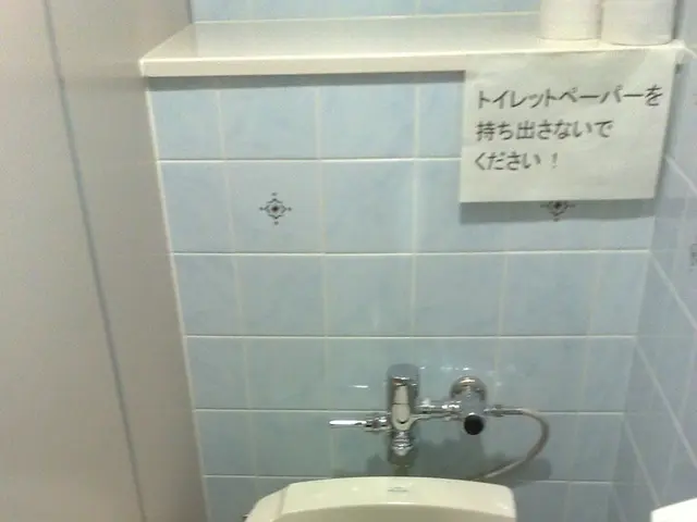 Strategies to clear a clogged toilet without needing a plunger, bypassing the need for a plumbing...