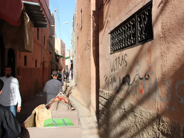 Sowing the Seeds of Liberation in Palestine's Initial Eco-Community