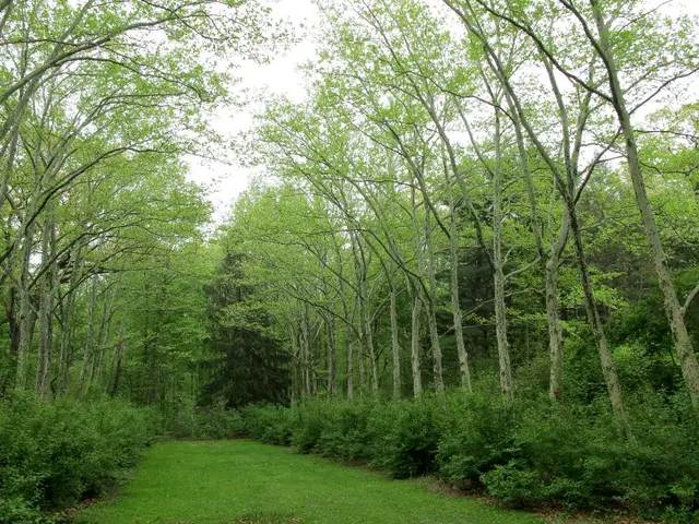 Enhance Your Wildlife Gardening Reputation with 8 Environmentally Safe Certifications