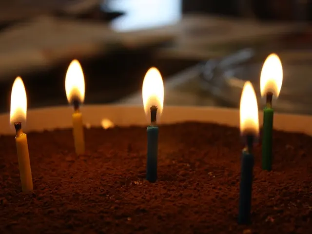 Fire in Irkutsk Region Traced Back to Fragrant Lamp