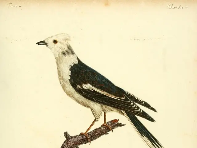 Enlightened Insights from Nirvan: a Lightweight Spiritual Guide