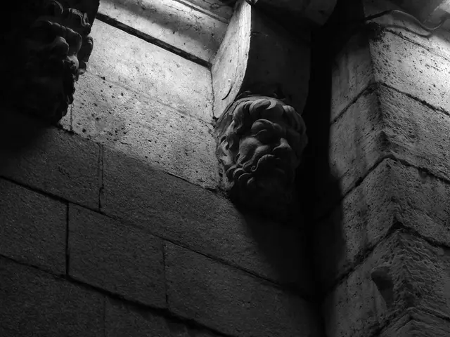 Essential Plastering Methods and Plaster Varieties to Master During Home Improvement Projects