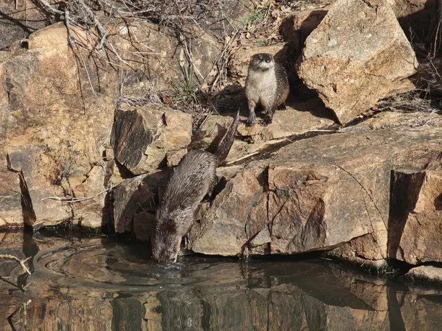Nature Ramble through Wilderness Area