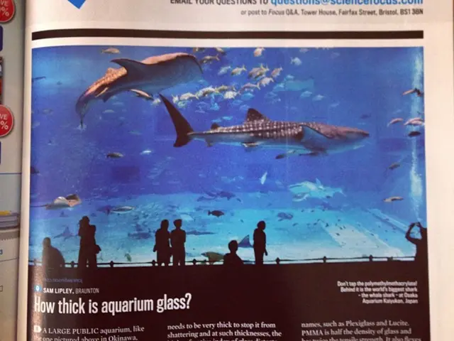 Widows' Island: The Lethal Pursuit of Victoria Barish