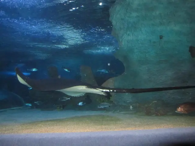 Dreading Water Creatures of the Sea? These Four Freshwater Monsters Could Give You Pause Even About...