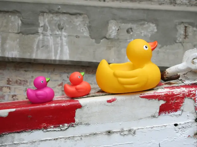 A Bathroom Decorated with Yellow Duck Accessories